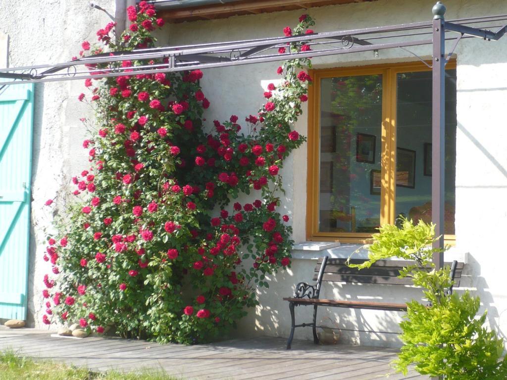 Les Garennes Hotel Saint-Uze Екстериор снимка